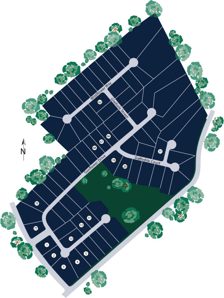 Coles Pond Site Map